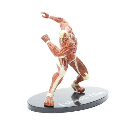 Figurine SNK Titan Colossal Tresor Otaku